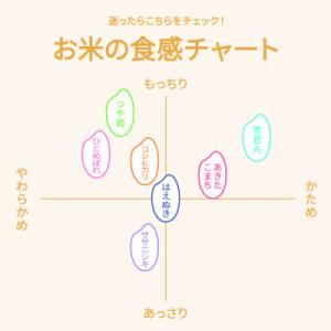 ふるさと納税 村山市 令和7年産 はえぬき 1...の詳細画像2