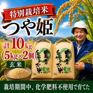 ふるさと納税 酒田市 ◆新米予約◆【特別栽培米】つや姫 玄米10kg|栽培期間中 化学肥料不使用 発送日に袋詰め 令和8年