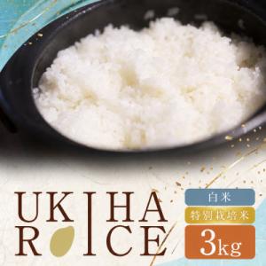 ふるさと納税 うきは市 UKIHA RICE 白米3kg(特別栽培米)