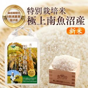 ふるさと納税 南魚沼市 【8年産新米予約】特別栽...の商品画像
