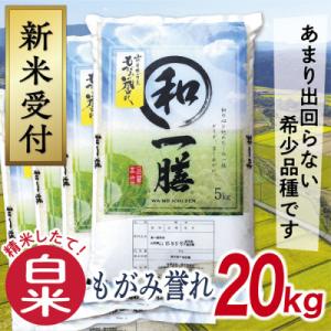 ふるさと納税 最上町 【令和8年産先行受付】山形県産もがみ誉れ20kg(白米)