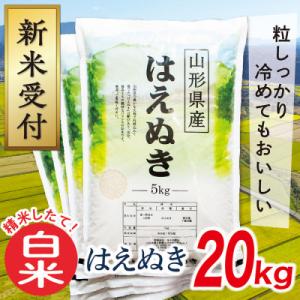 ふるさと納税 最上町 【令和8年産先行受付】山形県産はえぬき20kg(白米)