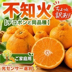 ふるさと納税 有田川町 【少し訳あり】不知火(しらぬい) 約10kg サイズ混合 (nuk010-c...