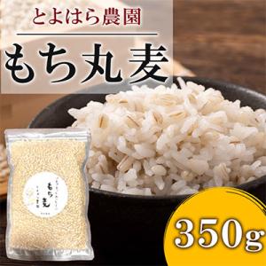 ふるさと納税 湯前町 もち丸麦 350g