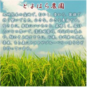 ふるさと納税 湯前町 もち丸麦 350gの詳細画像1