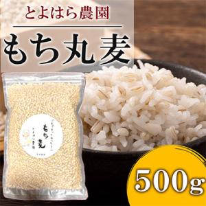 ふるさと納税 湯前町 もち丸麦 500g