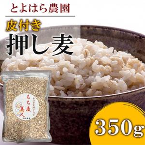 ふるさと納税 湯前町 皮付き押し麦 350g