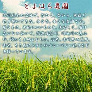 ふるさと納税 湯前町 皮付き押し麦 350gの詳細画像1