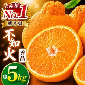 ふるさと納税 玉名市 【先行予約】熊本県産不知火　秀品約5kg(玉名市)