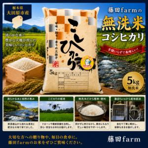 ふるさと納税 大田原市 【令和8年産先行受付】大田原市産コシヒカリ 無洗米 5kg 藤田farmのこだわりの白米