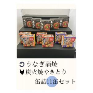 ふるさと納税 豊川市 炭火焼やきとりとうなぎ蒲焼...の商品画像