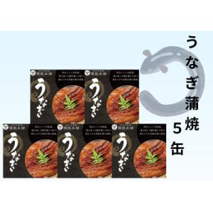 ふるさと納税 豊川市 炭火焼やきとりとうなぎ蒲...の詳細画像1