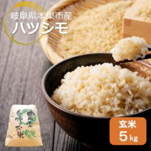 ふるさと納税 本巣市 【新米先行受付】令和8年産 ハツシモ 5kg 玄米