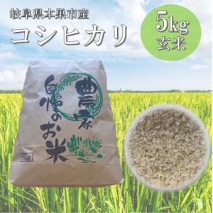 ふるさと納税 本巣市 【新米先行受付】令和8年産 コシヒカリ 5kg 玄米