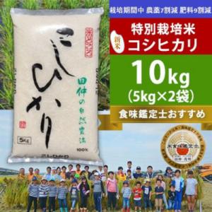 ふるさと納税 稲敷市 新米【令和8年産】特別栽培米 田仲のこしひかり(精米)10kg(5kg×2袋)　茨城県 稲敷市