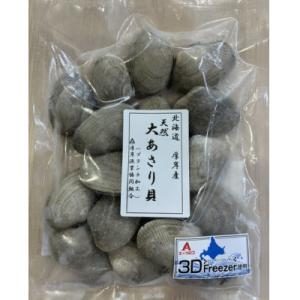 ふるさと納税 厚岸町 厚岸産【天然】冷凍　大あさり貝500g×2個