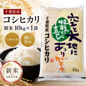ふるさと納税 大網白里市 【新米先行受付 令和8年産】コシヒカリ 精米 10kg (10kg×1袋)　8月下旬以降順次発送予定