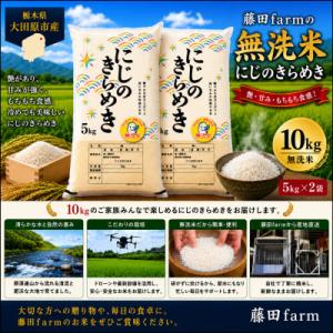 ふるさと納税 大田原市 【令和8年産 新米 先行受付】大田原市産にじのきらめき 無洗米 10kg(5kg×2) 藤田farm