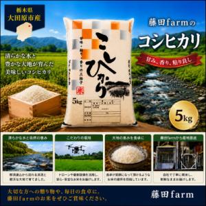 ふるさと納税 大田原市 【令和8年産 新米 先行受付】大田原市産コシヒカリ 精米 5kg 藤田farmのこだわりの白米