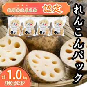 ふるさと納税 江北町 【特別栽培農産物認定】《地元江北町産》佐賀れんこんパック 1kg (250g×...
