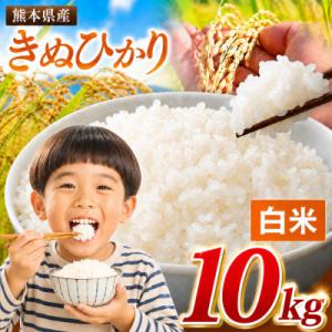 ふるさと納税 玉名市 【令和8年産】熊本県産 きぬひかり 白米 10kg