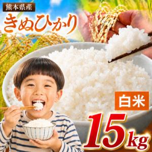 ふるさと納税 玉名市 【令和8年産】熊本県産 きぬひかり 白米 15kg