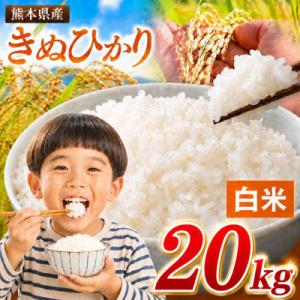 ふるさと納税 玉名市 【令和8年産】熊本県産 きぬひかり 白米 20kg