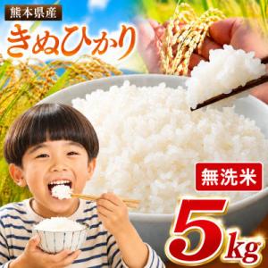 ふるさと納税 玉名市 【令和8年産】 熊本県産 きぬひかり 無洗米　5kg