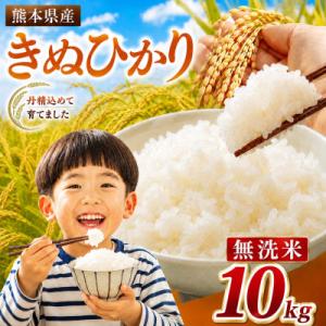 ふるさと納税 玉名市 【令和8年産】 熊本県産 きぬひかり 無洗米　10kg