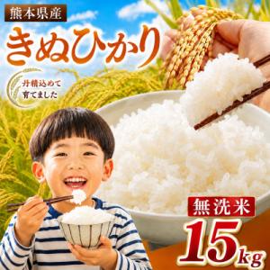 ふるさと納税 玉名市 【令和8年産】 熊本県産 きぬひかり 無洗米　15kg