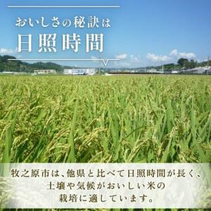 ふるさと納税 牧之原市 【新米 先行予約】 5...の詳細画像1