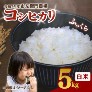 ふるさと納税 つくば市 【つくば市産コシヒカリ】 白米 5kg 精米