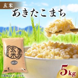 ふるさと納税 八郎潟町 【新米予約】あきたこまち 5kg 【玄米】