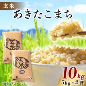ふるさと納税 八郎潟町 【新米予約】あきたこまち 10kg(5kg×2袋) 【玄米】