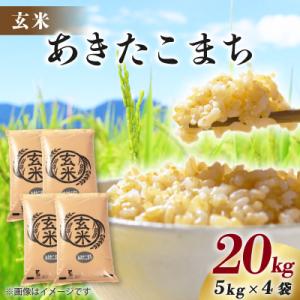 ふるさと納税 八郎潟町 【新米予約】令和8年産 あきたこまち 20kg(5kg×4袋) 【玄米】