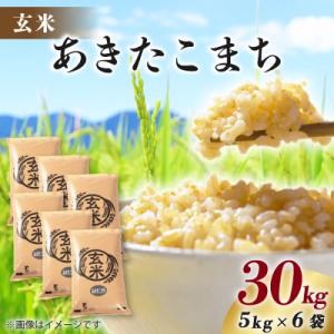 ふるさと納税 八郎潟町 【新米予約】令和8年産 あきたこまち 30kg(5kg×6袋) 【玄米】