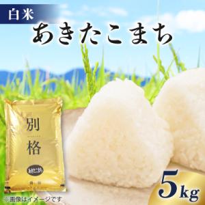 ふるさと納税 八郎潟町 【新米予約】令和8年産 あきたこまち 5kg 【白米】