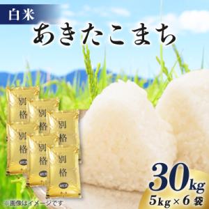 ふるさと納税 八郎潟町 【新米予約】令和8年産 あきたこまち 30kg(5kg×6袋) 【白米】