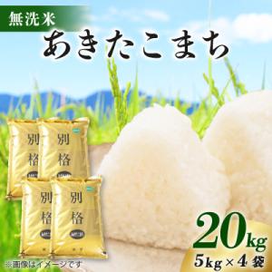 ふるさと納税 八郎潟町 【新米予約】令和8年産 あきたこまち 20kg(5kg×4袋) 【無洗米】