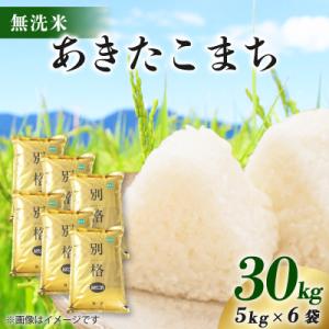 ふるさと納税 八郎潟町 【新米予約】令和8年産 あきたこまち 30kg(5kg×6袋) 【無洗米】