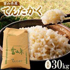 ふるさと納税 小矢部市 【新米】令和8年産 富山県小矢部市産 てんたかく 玄米30kg(30kg×1袋)