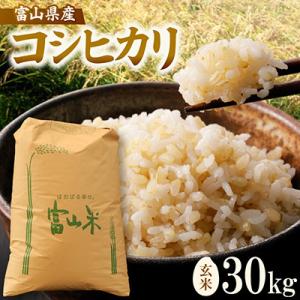 ふるさと納税 小矢部市 【新米】令和8年産 富山県小矢部市産 コシヒカリ 玄米30kg(30kg×1袋)