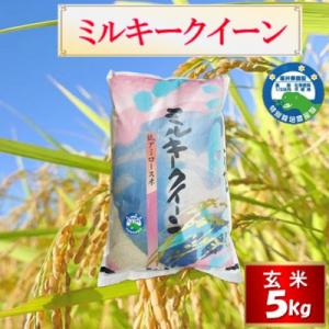 ふるさと納税 越前市 【先行受付】令和8年産 特別栽培 越前市産 ミルキークイーン  玄米　5kg