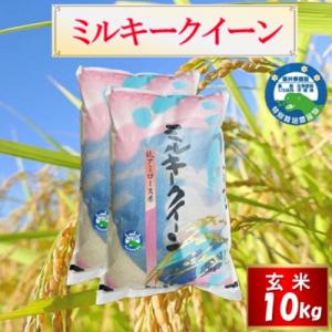 ふるさと納税 越前市 【先行受付】令和8年産 特別栽培 越前市産 ミルキークイーン 玄米　10kg