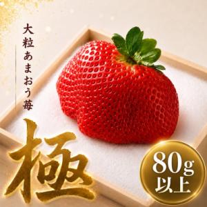 ふるさと納税 太宰府市 【2026年11月下旬〜2027年4月上旬頃発送予定】あまおう「極」大粒 約80g