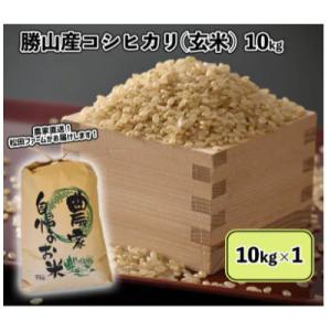 ふるさと納税 勝山市 令和8年度産 福井県勝山市産 コシヒカリ 玄米 計10kg