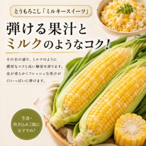 ふるさと納税 幕別町 有機とうもろこし「ミルキ...の詳細画像1