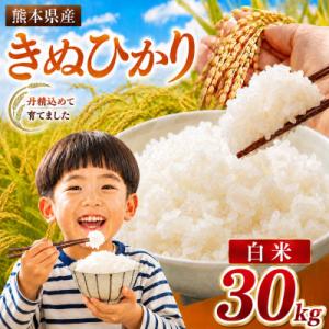 ふるさと納税 玉名市 【令和8年産】熊本県産 きぬひかり 白米 30kg