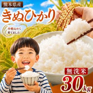 ふるさと納税 玉名市 【令和8年産】熊本県産 きぬひかり 無洗米 30kg