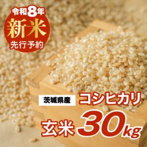 ふるさと納税 つくばみらい市 【 令和8年産 新米 】 コシヒカリ 30kg 玄米 茨城県つくばみらい市産